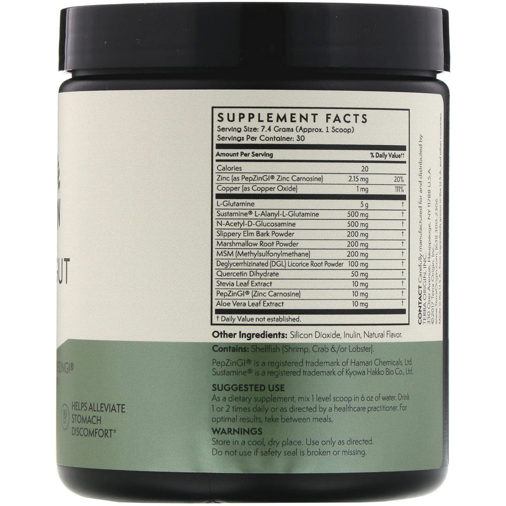 Terra Origin, Healthy Gut, Mint, 7.83 oz (222 g)