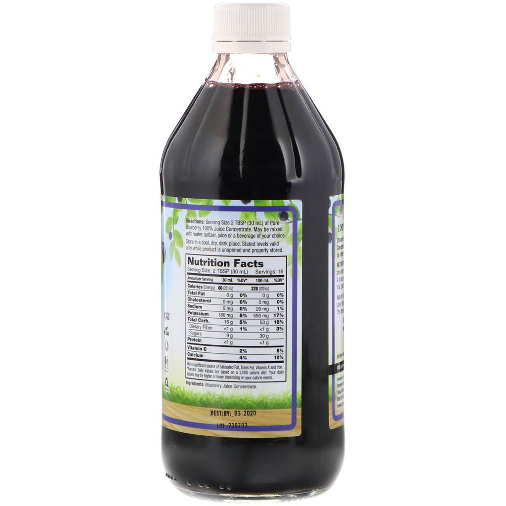 Dynamic Health  Laboratories, Pure Blueberry, 100% Juice Concentrate, Unsweetened, 16 fl oz (473 ml)