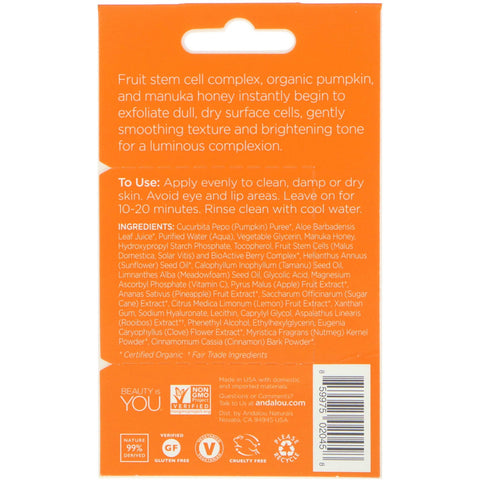 Andalou Naturals, Instant Brightening Beauty Face Mask, Pumpkin and Honey, .28 oz (8 g)