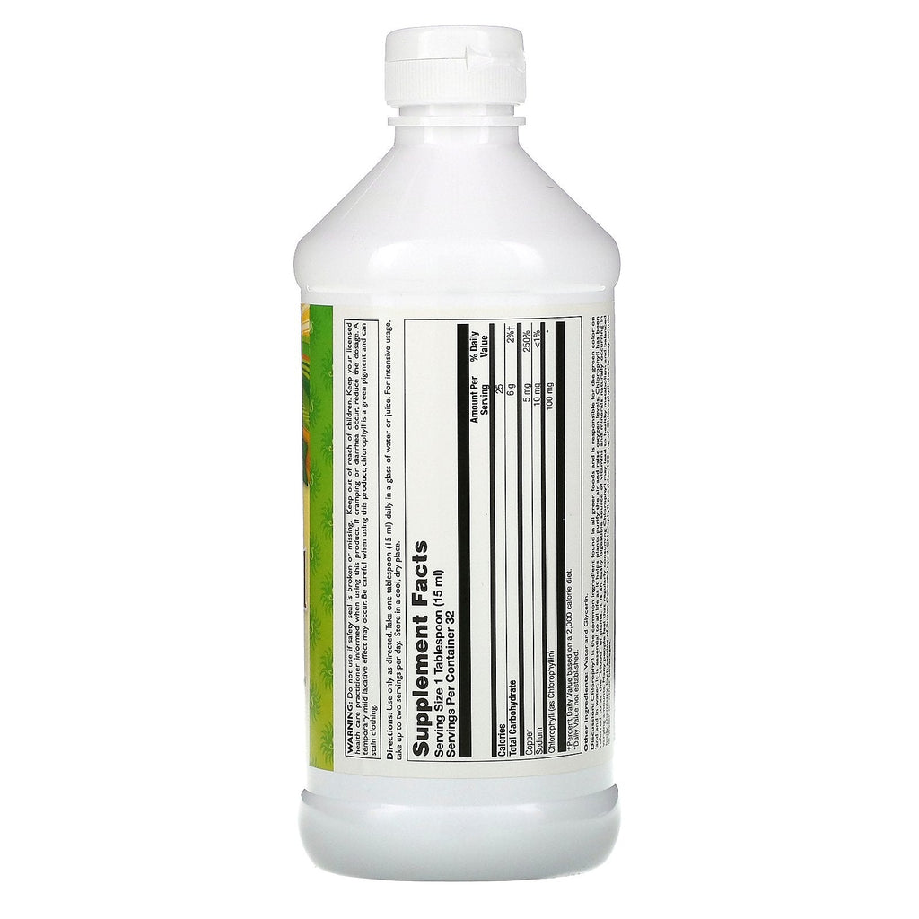 Sunny Green, Liquid Chlorophyll, Unflavored, 100 mg, 16.2 fl oz (480 ml)