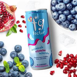 FG Factor FG Factor Blueberry & Pomegranate Multivitamin Soft Drink
