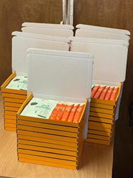 Gut Wealth SAMPLE