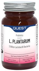 Quest L PLANTARUM