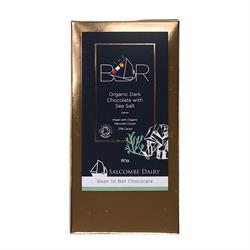 Salcombe Dairy Salcombe Dairy Dark Seasalt Organic Chocolate Bar 80g