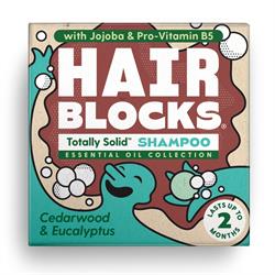 Shower Blocks Hair Blocks Solid Shampoo - Cedar & Eucalyptus - All hair types
