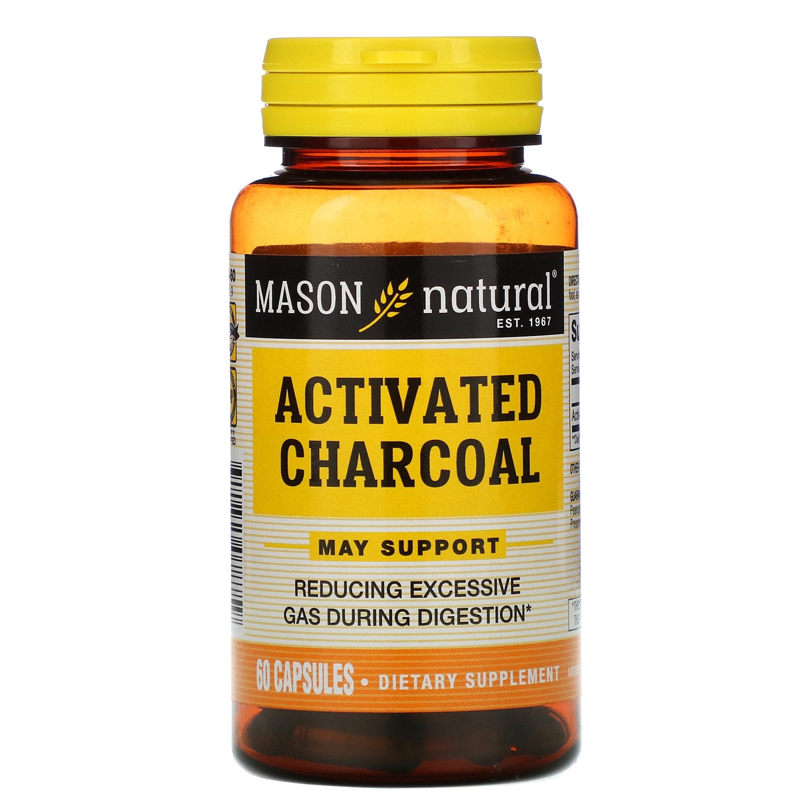 Mason Natural, Activated Charcoal, 60 Capsules