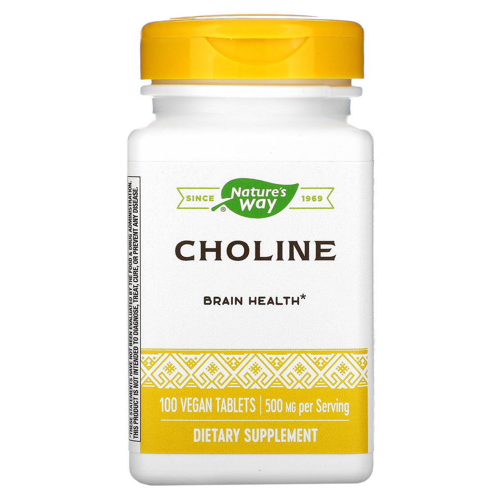 Nature's Way, Choline, 500 mg, 100 Vegan Tablets