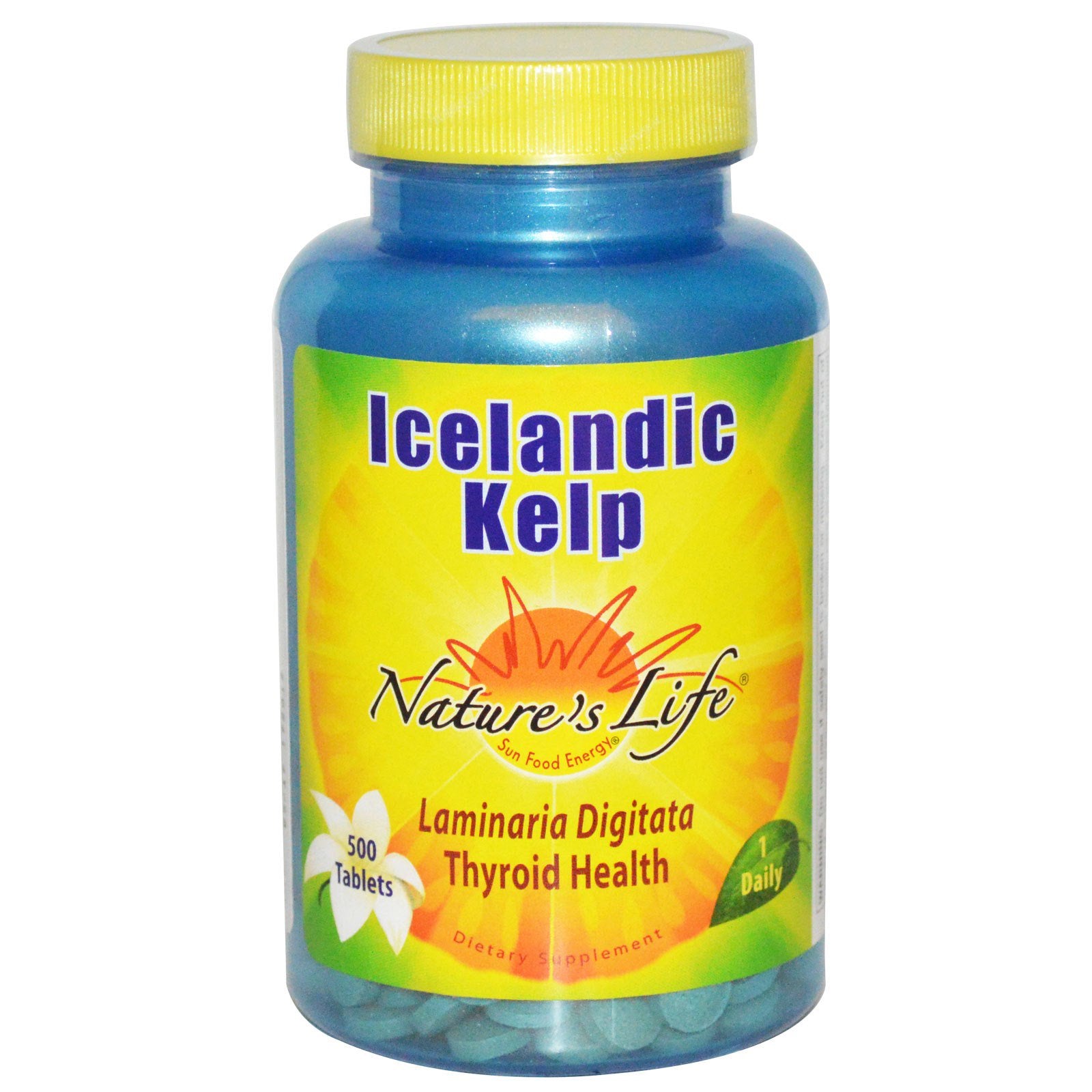 Nature's Life, Icelandic Kelp, 500 Tablets